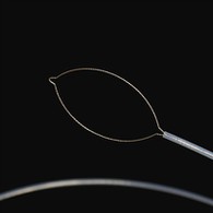 Tipe awak asing jinis